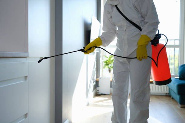 Certified Mold Removal in Elk Point, SD