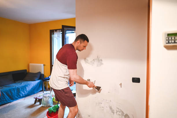 Best Mold Cleaning Services  in Elk Point, SD